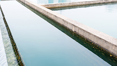 如何評(píng)判黑臭水體治理技術(shù)好壞？